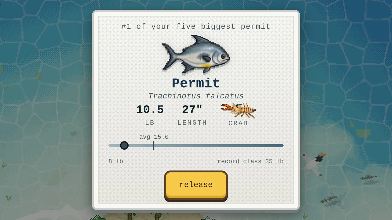 A catch card for a 10.5 lb permit, showing its weight, length and the crab fly it ate.